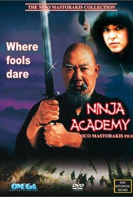 Постер фильма Академия ниндзя (1989)