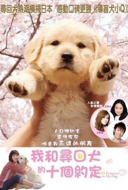 Постер фильма 10 обещаний моей собаке (2008)