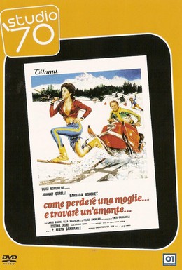 Постер фильма Как лишиться жены и найти любовницу (1978)