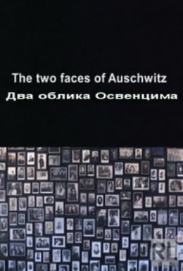 Постер фильма Два облика Освенцима (2011)
