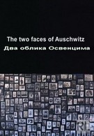Два облика Освенцима (2011)