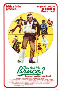 Постер фильма Они зовут меня Брюсом? (1982)