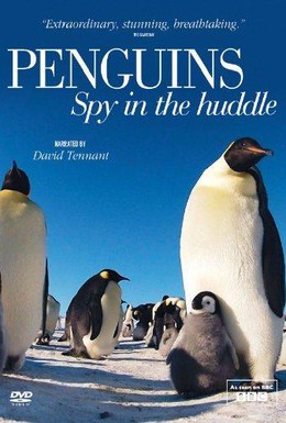 Постер фильма Пингвины: Шпион в толпе (2013)