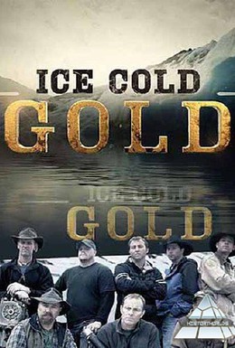 Постер фильма Ледяное золото (2013)