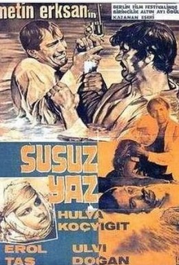 Постер фильма Засушливое лето (1963)
