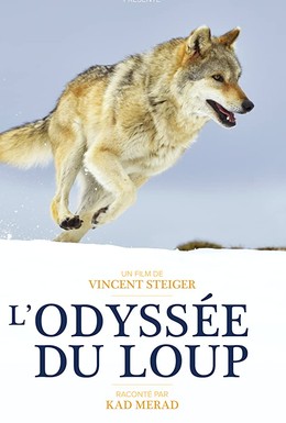 Постер фильма L'Odyssée du Loup (2019)