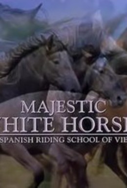Постер фильма Королевские белые лошади (2001)