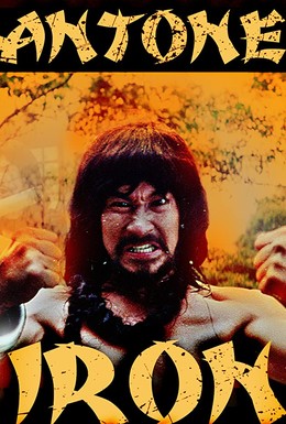 Постер фильма Железное кунг-Фу кантонца (1979)