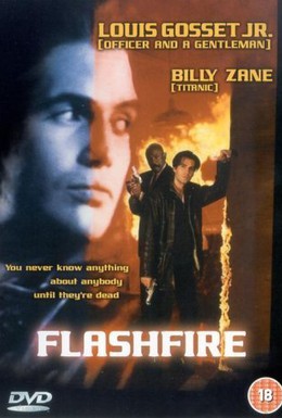 Постер фильма Хищный огонь (1994)