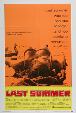 Постер фильма Последнее лето (1969)