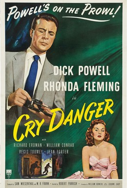 Постер фильма Крик об опасности (1951)