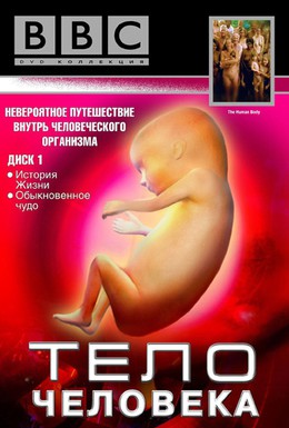Постер фильма BBC: Тело человека (1998)