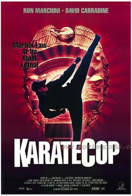 Постер фильма Полицейский-каратист (1991)