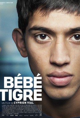 Постер фильма Молодой тигр (2014)