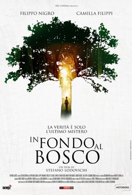 Постер фильма В глубине леса (2015)