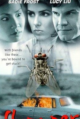 Постер фильма Мухоловка (1999)