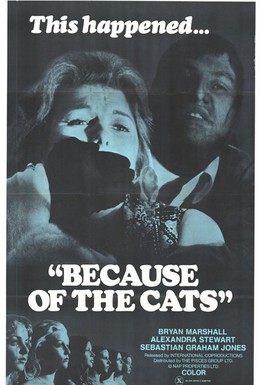 Постер фильма Из-за кошек (1973)