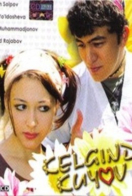 Постер фильма Приезжий жених (2005)