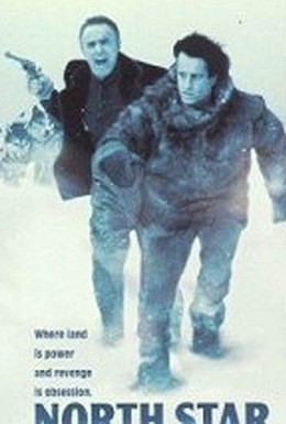 Постер фильма Полярная звезда (1986)