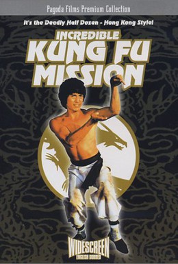 Постер фильма Невероятная миссия Кунг-фу (1979)