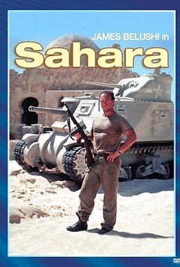 Постер фильма Сахара (1995)