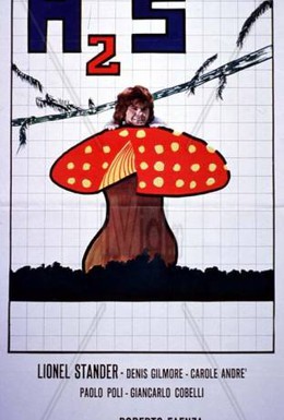 Постер фильма Сероводородная кислота (1969)