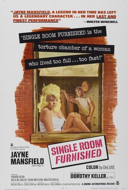 Постер фильма Меблированная комната на одного (1966)