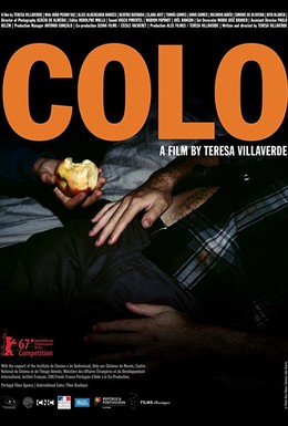 Постер фильма Colo (2017)