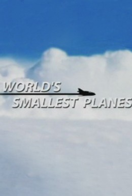 Постер фильма Самые маленькие самолеты в мире (2007)