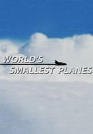 Самые маленькие самолеты в мире (2007)