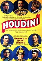 Холдэйн из секретной службы (1923)
