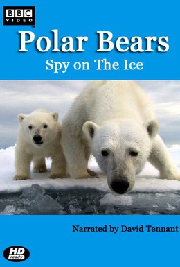 Постер фильма Белый медведь: Шпион во льдах (2011)