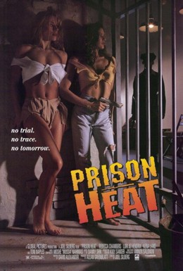 Постер фильма Тюремная жара (1993)
