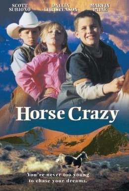 Постер фильма Дикая лошадь (2001)