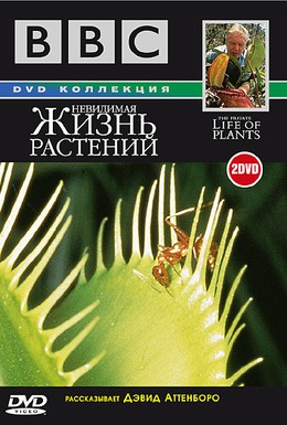 Постер фильма BBC: Невидимая жизнь растений (1995)