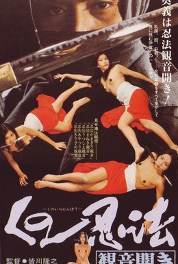 Постер фильма Хроники династии ниндзя (1991)