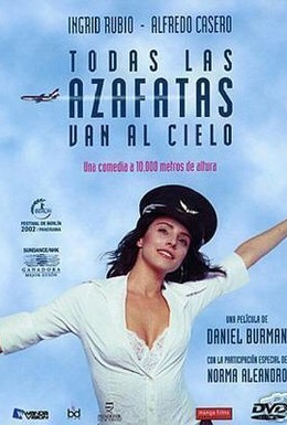 Постер фильма Все стюардессы попадают на небеса (2002)