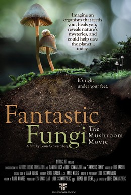 Постер фильма Фантастические грибы (2019)