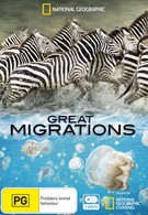 Великие миграции (2010)