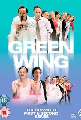 Постер фильма Зеленое крыло (2004)