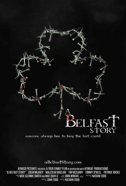 Постер фильма Белфастская история (2013)