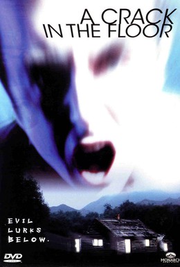 Постер фильма Трещина в полу (2001)