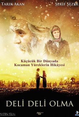 Постер фильма Не сходи с ума (2009)