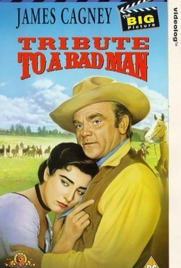 Постер фильма Похвала дурному человеку (1956)