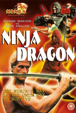 Постер фильма Ниндзя Дракон (1986)