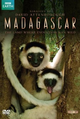 Постер фильма BBC: Мадагаскар (2011)
