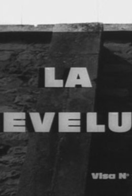 Постер фильма Шевелюра (1961)