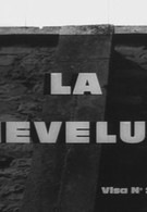 Шевелюра (1961)