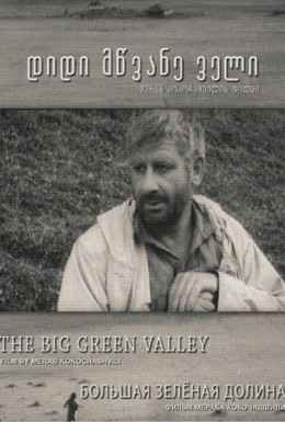Постер фильма Большая Зелёная долина (1967)