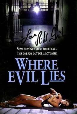 Постер фильма Там где покоится зло (1995)
